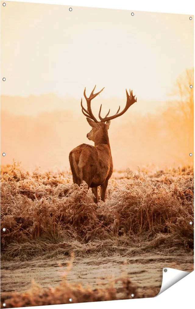 Gards Tuinposter Hert in de Wei tijdens de Zonsopkomst - 120x160 cm - Tuindoek - Tuindecoratie - Wanddecoratie buiten - Tuinschilderij Multikleur