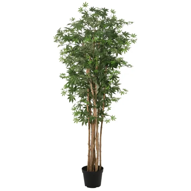 Florafy Kunstplant Japanse Esdoorn 180cm - Kunstplanten voor binnen - Onderhoudsvrij Groen