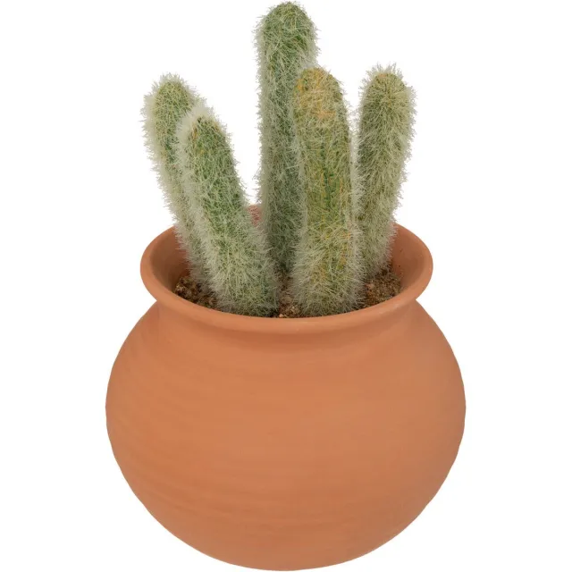 Atmosphera Kunstplant Alicante - Cactus met pot - Ø17x8cm - Groen