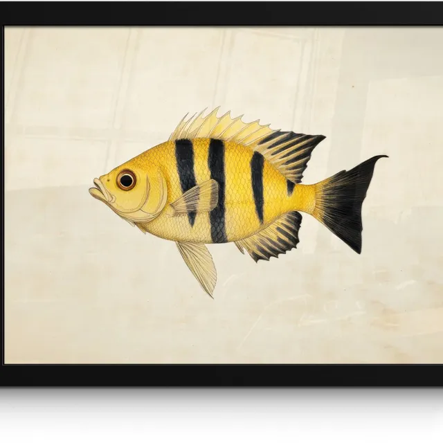 FrameYourWall Poster in lijst - Fotolijst 40x30 cm - Posters - Geel - Vis - Strepen - Tropisch - Posterlijst zwart - Decoratie - Wanddecoratie woonkamer - Muurdecoratie slaapkamer