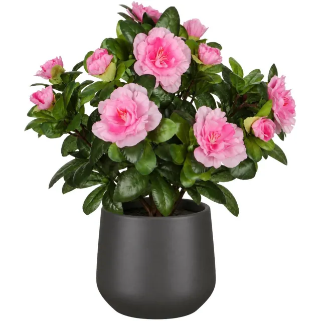 Mica Decorations Kunstplant - Azalea roze - H27 cm - in antraciet bloempot - keramiek - complete set van pot en plant - decoratie stuk