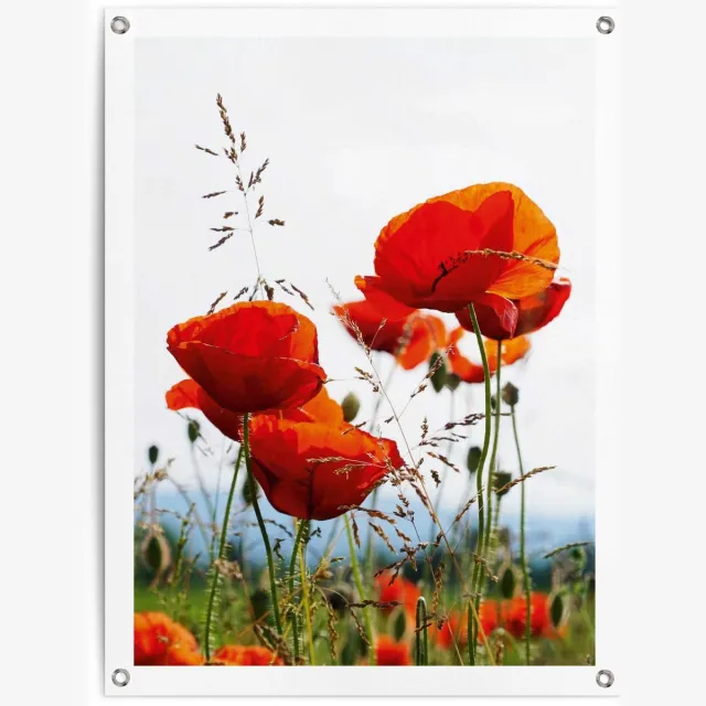 Reinders Tuinposter Klaprozen - 80 x 60 - Canvas - REINDERS rood