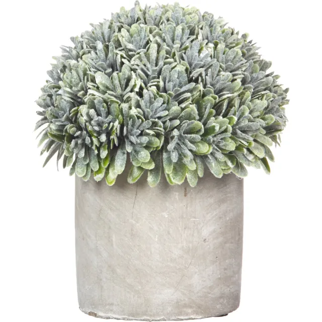 Pomax Artificiële plant in pot 'Concrete Jungle' (Groen) Grijs