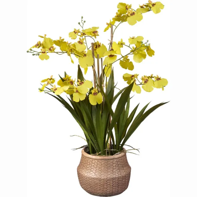 HTT Decorations Kunstplant wilde Orchidee 6-tak geel H60cm - HTT Decorations kunstplanten