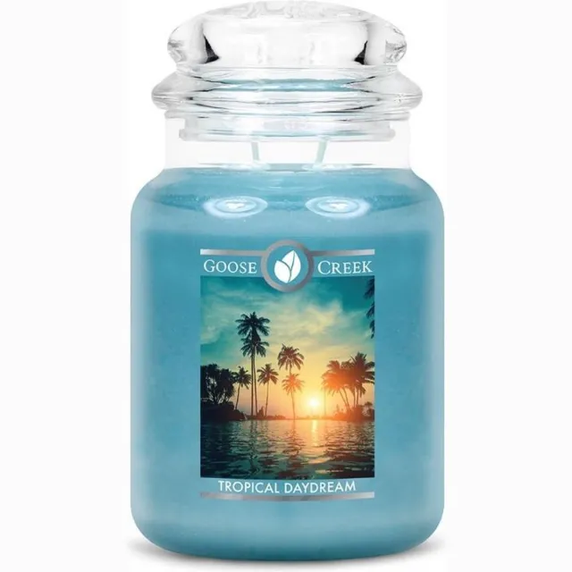 Goose Creek Candle Tropical Daydream Blauw