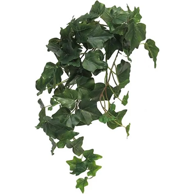 Erutan avon Ivy Chicago M kunsthangplant Erutan Avon Groen