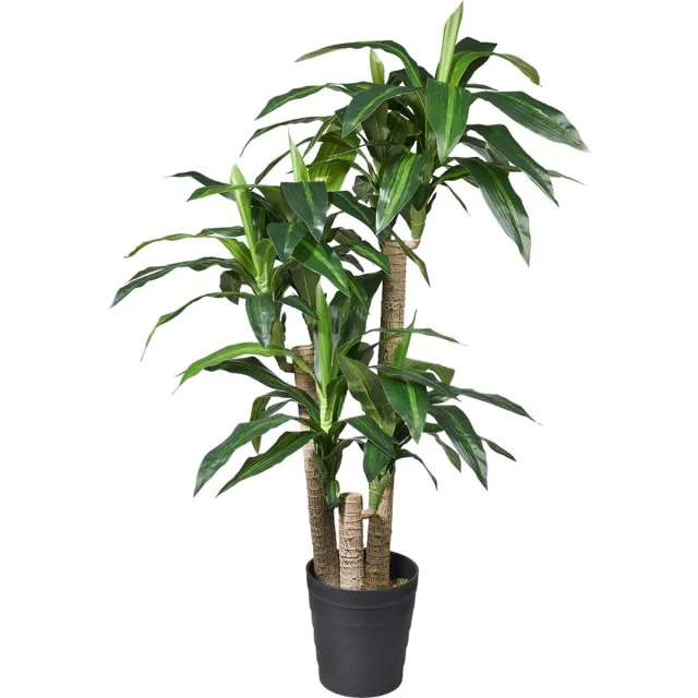 HTT Decorations Kunstplant Dracaena Fragans H135cm - HTT Decorations kunstplanten Groen