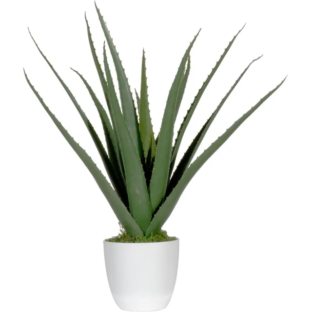 Paperflow kunstplant - Aloe Vera - hoogte 450 mm