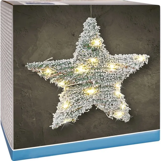 vilde Lichtgevende Ster 20 LED 30 cm - Kerstverlichting - Lichting - Kerst - Lampjes groen