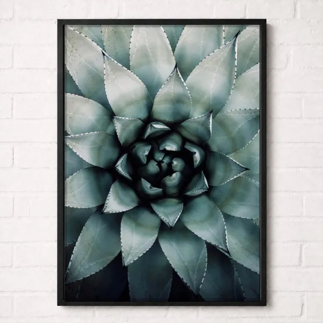 Kleurmedia Blauwe Agave Close-up Poster - Botanical Nature Collection - Natuur Posters - A1+ 61 x 91,5 cm