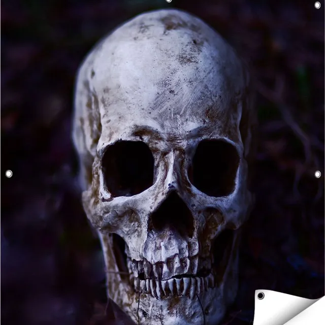 Gards Tuinposter Schedel - Doodshoofd - 90x90 cm - Tuindoek - Tuindecoratie - Wanddecoratie buiten - Tuinschilderij Multikleur