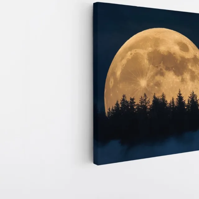 Saammp Canvas Schilderij - Maan met bos - Natuur - Landschap - 40x40 - Foto op canvas - Wanddecoratie - Muurdecoratie Woonkamer - Slaapkamer decoratie - Canvas Print Multicolor