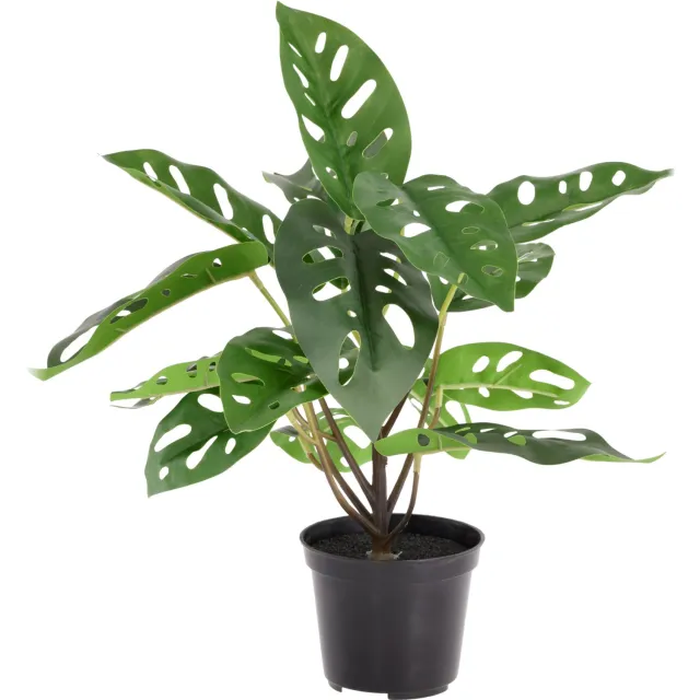 maxifleur Kunstplanten Monstera Adansonii kunstplant 30cm in kweekpot Groen
