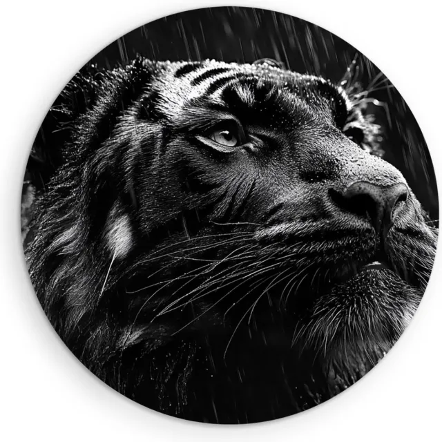 Saammp Muurcirkel Hout - Tijger in de regen - portret - Natuur - Dieren - Ø 70 - Wandcirkel - Wanddecoratie Cirkel - muurdecoratie Woonkamer - Slaapkamer decoratie - Rond Schilderij