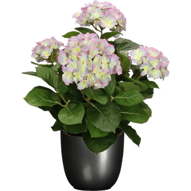 Mica Decorations Hortensia kunstplant/kunstbloemen 45 cm - paars/groen - in pot titanium grijs glans - Kunst kamerplant