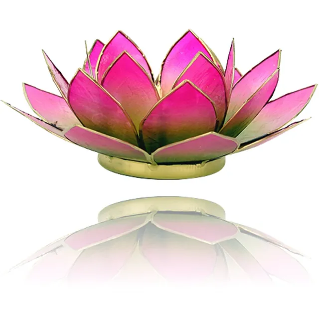 Phoenix Import Mani Bhadra Yogi & Yogini naturals Lotus sfeerlicht groen/roze 2-kleurig (Ø 13.5 cm) Meerkleurig