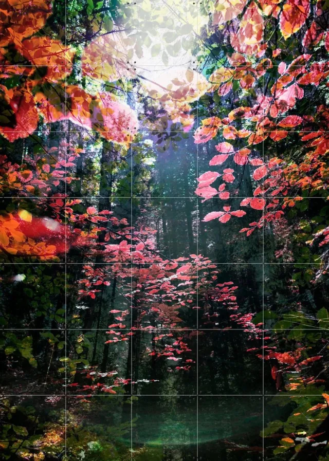 IXXI Enchanted, Angelo Cerantola - 100 x 140 cm - Grote wanddecoratie en posters - Fotografie, Gemengde Technieken, Woonkamer, Slaapkamer, Natuur Warme kleuren / Rood