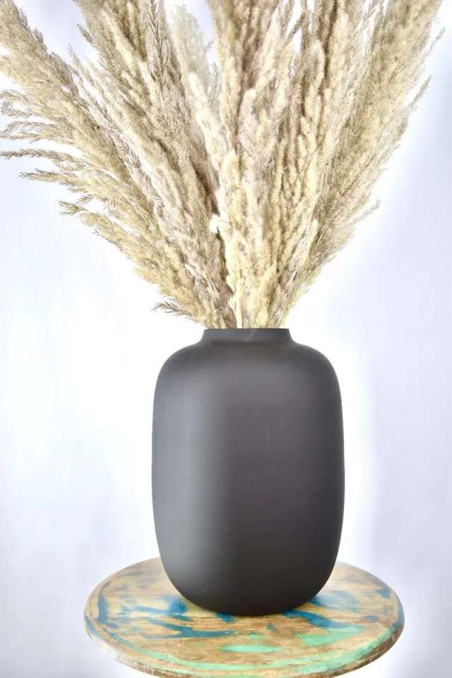 Natuurlijk Bloemen Pampas pluimen met Artic black vaas - 80cm - Droogbloemen pluimen - Natuurlijk Bloemen Beige