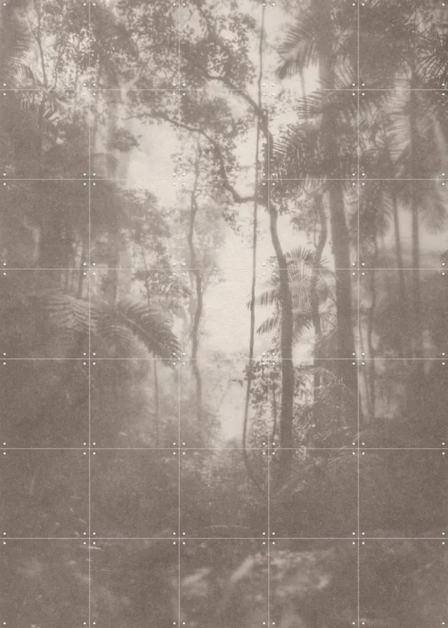 IXXI Jungle Brouillard, Florent Bodart - 100 x 140 cm - Grote wanddecoratie en posters - Vintage, Mancave, Woonkamer, Studeerkamer, Gang, Mist Grijs / Zwart