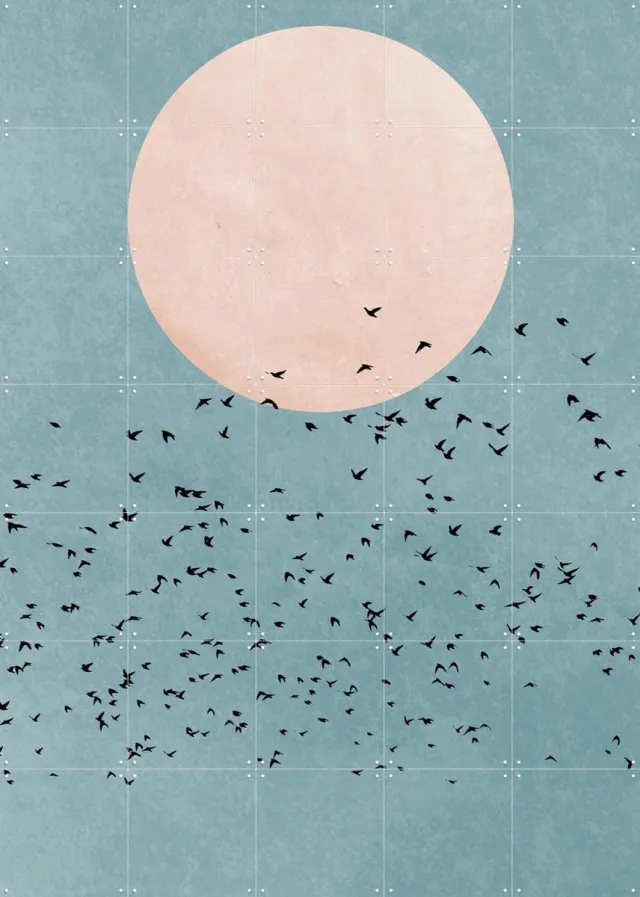 IXXI Fly Away, Kubistika - 100 x 140 cm - Grote wanddecoratie en posters - Minimalisme, Grafisch Ontwerp, Abstract, Slaapkamer, Woonkamer, Gang, Zon Roze / Koele tinten / Pastel kleuren