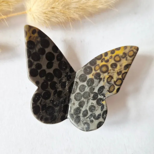 Moonlight Gemstones Edelsteen Vlinder 6x5 cm – Ocean Jasper Meerkleurig