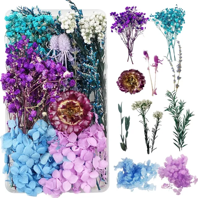 Famanu Natuurlijke droogbloemen voor hars, sieraden en decoratie, set van diverse bloemen