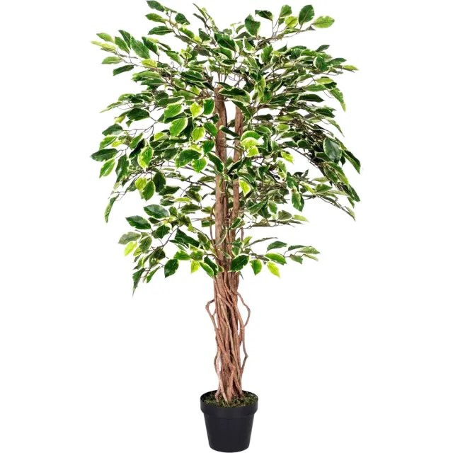 Homescapes Kunst Ficusboom 120 cm – Bonte Kunstplant met Echte Houten Stam & Lifelike Variegated Bladeren – Inclusief Pot – Binnen Decoratie Groen/Bont