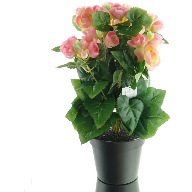Gasper Elatior-begonia Roze in zwarte pot 38 cm - Kunstbloemen