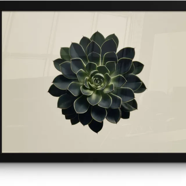 FrameYourWall Poster in lijst - Fotolijst 40x30 cm - Posters - Rozet - Cirkelvormig - Donkergroen - Posterlijst zwart - Decoratie - Wanddecoratie woonkamer - Muurdecoratie slaapkamer