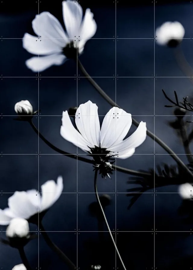 IXXI Wild Flowers, Mareike Böhmer - 100 x 140 cm - Grote wanddecoratie en posters - Klassiek, Fotografie, Woonkamer, Slaapkamer, Bloemen, Natuur Wit / Monochroom / Donkere tinten