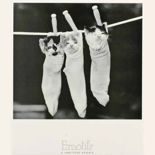Catch Projecten Poster - Pin-Ups - H. Armstrong Roberts - Zwart/Wit - Fotografie - Jaren 80