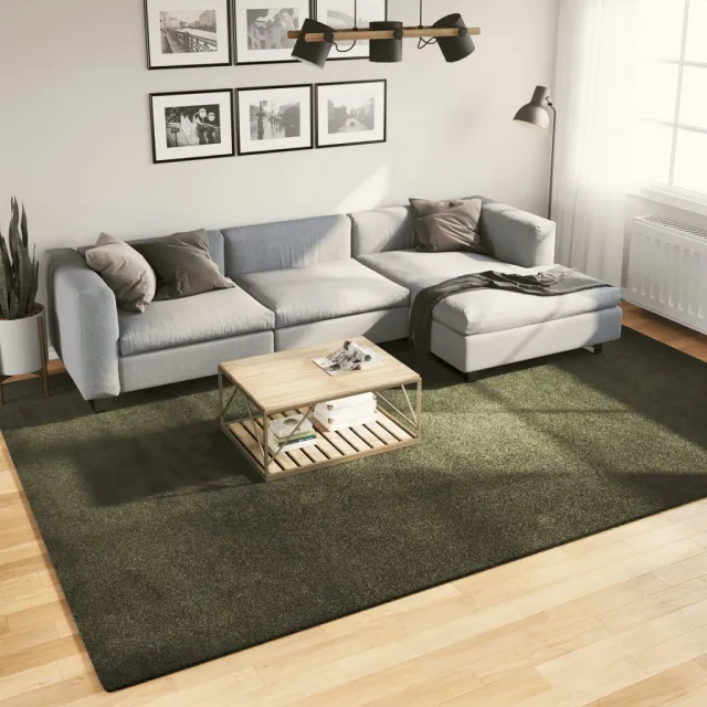 vidaXL Vloerkleed HUARTE Green 240 x 340 cm 100% Polyester Plat, foto 2