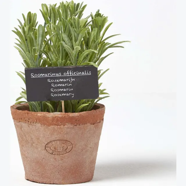 Homescapes Kunstmatige rozemarijn potplant Groen