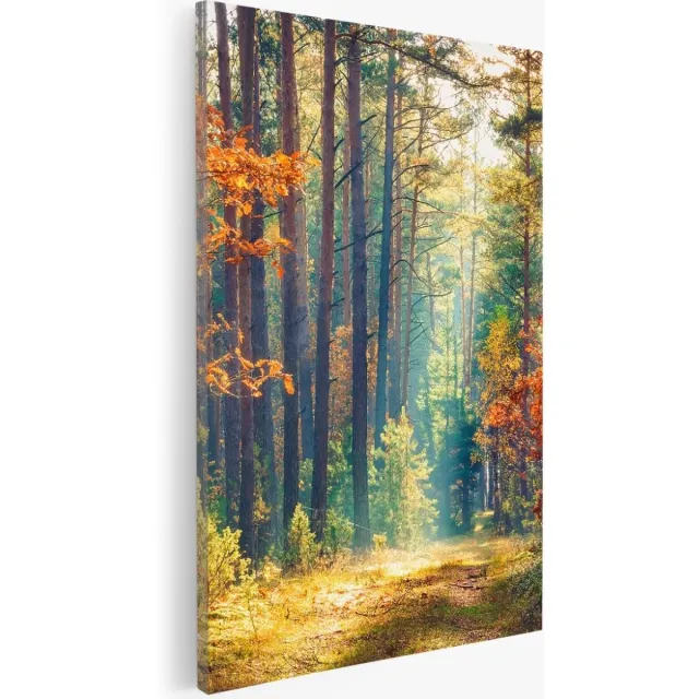 Saammp Canvas Schilderij -Bos - Zonlicht - Herfst - Landschap - Natuur - 60x90 - Foto op canvas - Wanddecoratie - Muurdecoratie Woonkamer - Slaapkamer decoratie - Canvas Print Multicolor