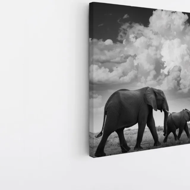 Saammp Canvas Schilderij - 2 Olifanten - Familie - Dieren - 30x30 - Foto op canvas - Wanddecoratie - Muurdecoratie Woonkamer - Slaapkamer decoratie - Canvas Print Multicolor
