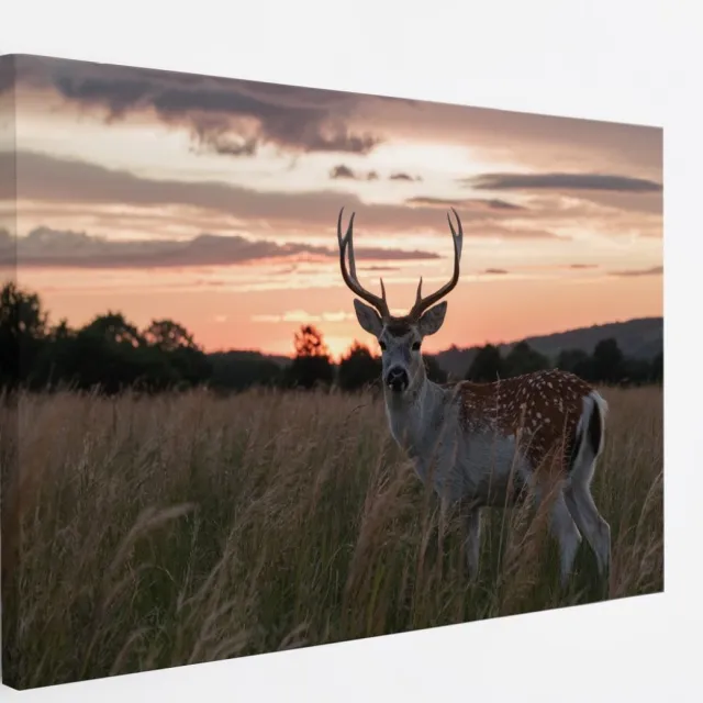 Saammp Canvas Schilderij - jong hert met zonsondergang - Natuur - Dieren - 90x60 - Foto op canvas - Wanddecoratie - Muurdecoratie Woonkamer - Slaapkamer decoratie - Canvas Print Multicolor