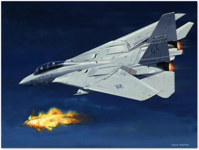 Thijs Postma - TP Aviation Art - Poster - Grumman F-14 Tomcat Schiet MiG-23 Neer - 50x70cm kleur