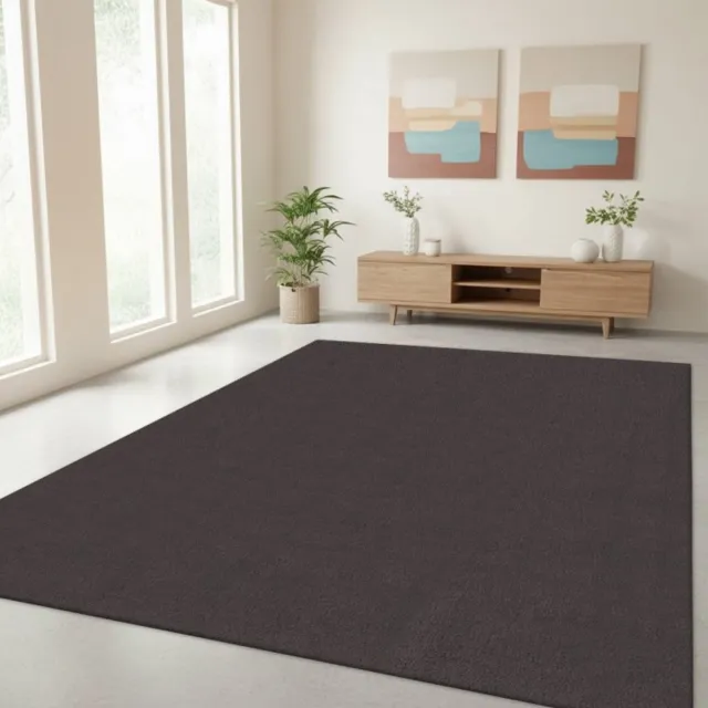 TapisTrend Designer tapijt Antraciet 80x150 cm Modern, effen vloerkleed met een zacht oppervlak en dichte pool voor de woonkamer, slaapkamer en ontspanningsruimte