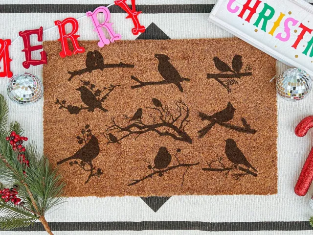 Laser Point Winter Birds On Branch | 90x60 cm | Nieuwe huis cadeau | Ingangsmat | Deurmat met stijl | Verhuizing cadeau | Praktisch & trendy | Perfect voor binnenkomst | Cadeau voor nieuwe woning Bruin | Zwart (Gravering 90x60)