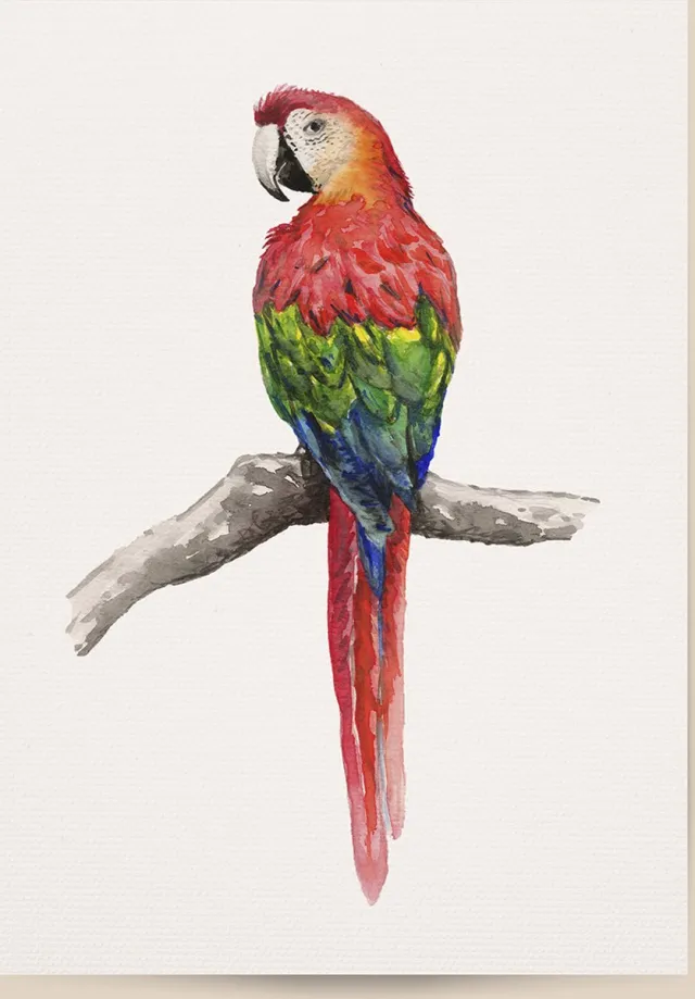 World of Mies poster papegaai - A4 - mooi dik papier - Snel verzonden! - tropisch - jungle vogel - dieren in aquarel - geschilderd door Mies