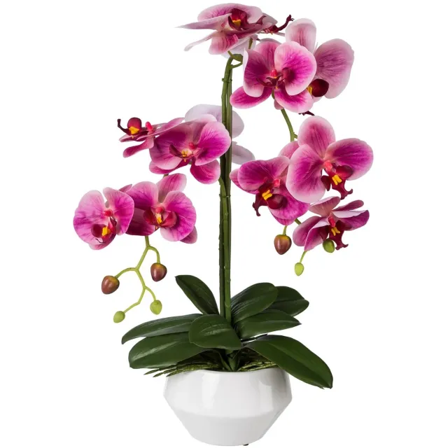 Kopu Kunstorchidee 52 cm - Fuchsia - Witte pot - Phalaenopsis
