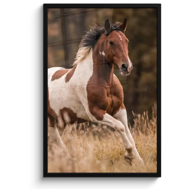 FrameYourWall Poster in lijst - Fotolijst 60x90 cm - Posters - Paard - Bruin - Gras - Posterlijst zwart - Decoratie - Wanddecoratie woonkamer - Muurdecoratie slaapkamer