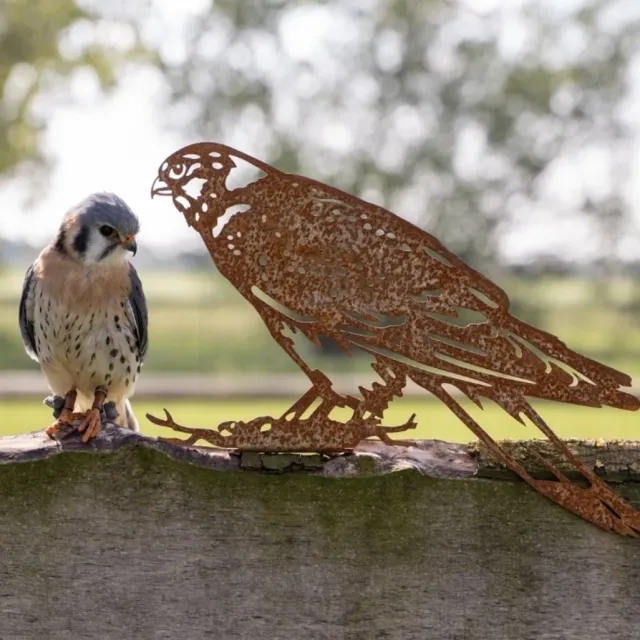 rusty friends Valk - Metalen vogel - Cortenstaal - NL Fabrikaat bruin