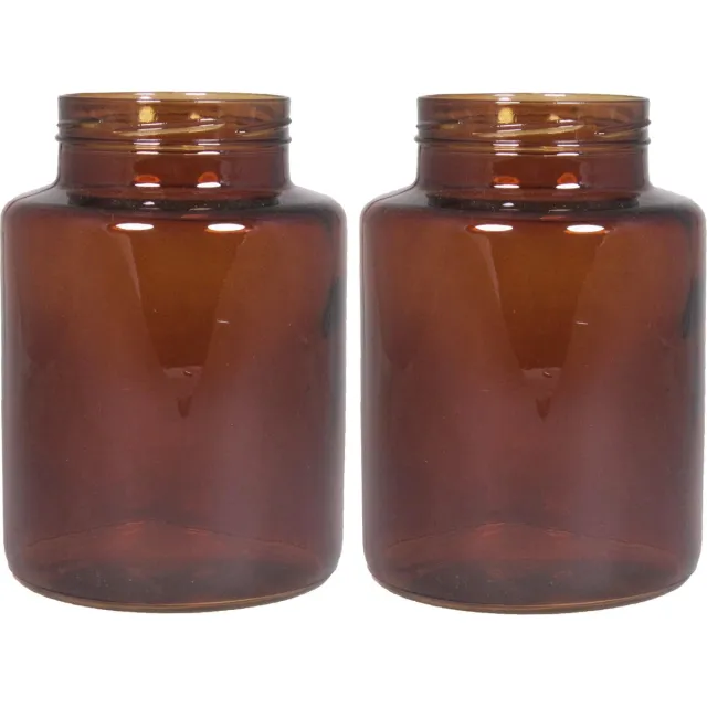 Floran bloemenvazen - 2x stuks - kastanje bruin/transparant glas - H20 x D14.5 cm