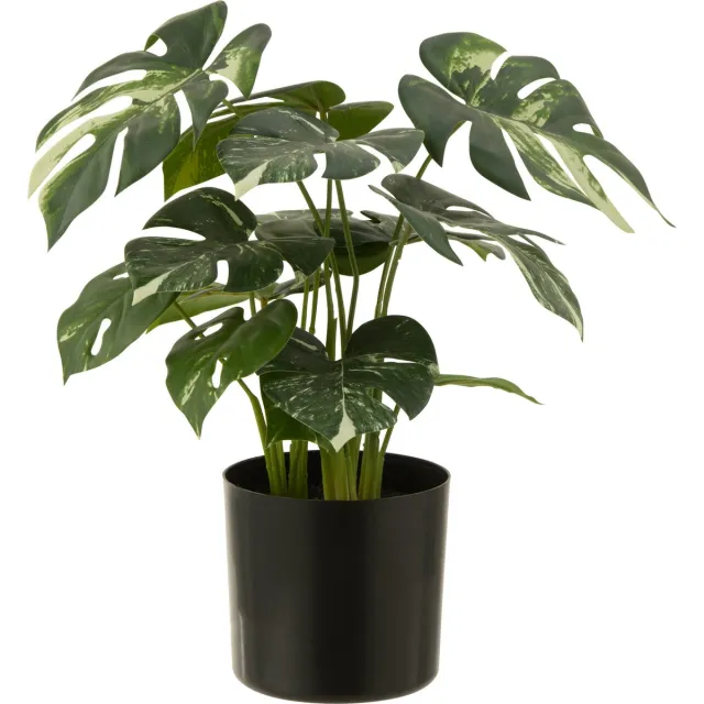 J-Line plant Monstera in pot - kunststof - groen