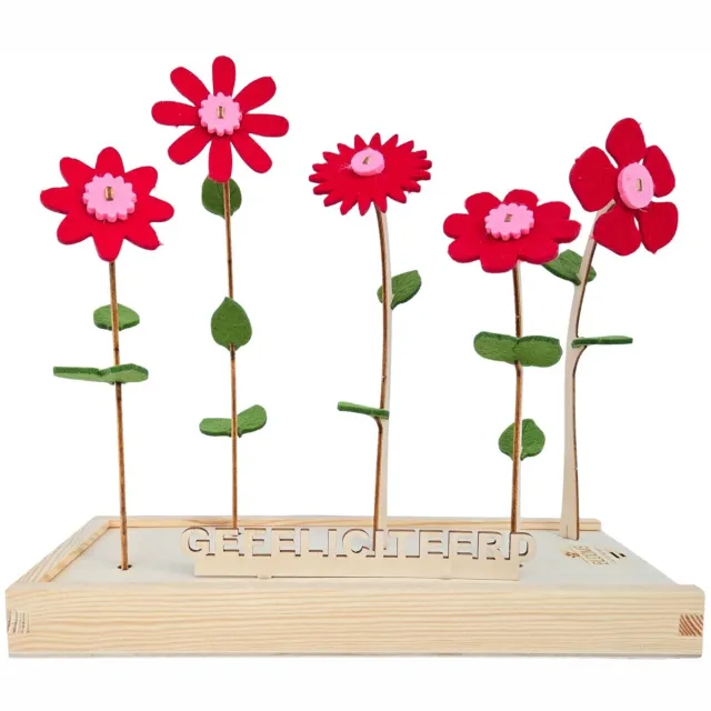 Blooms out of the Box Happy Blooms vilten bloemen – Gefeliciteerd – brievenbus cadeau Rood