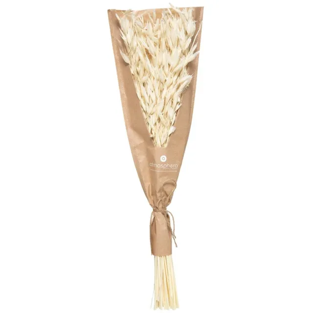 Atmosphera Créateur d'intérieur® Boeket gedroogde bloemen ALANA Blanc