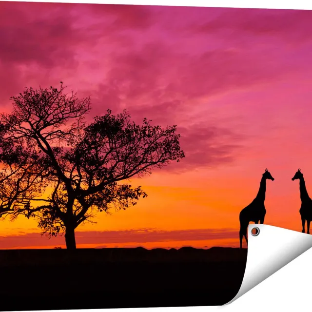 Gards Tuinposter Twee Giraffe Silhouetten bij Zonsondergang - 80x60 cm - Tuindoek - Tuindecoratie - Wanddecoratie buiten - Tuinschilderij Multikleur