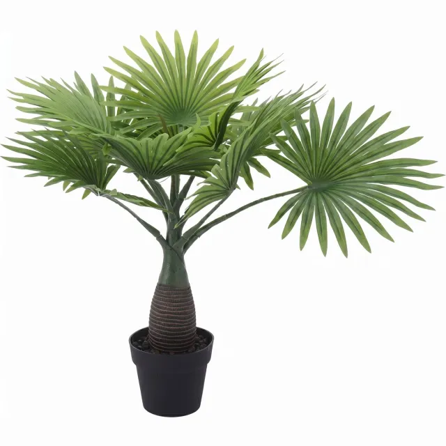 Cheqo Kunstpalm - Kleine Kunstplant in Pot - Nep Palm voor Binnen - Waaierpalm - Nep Plant - Kamerplant Tafelmodel - Tropische Plant - Palmboom - Mini Kunstplant - voor Woonkamer - Slaapkamer - Kantoor - Balkon - Decoratieve Plant Groen