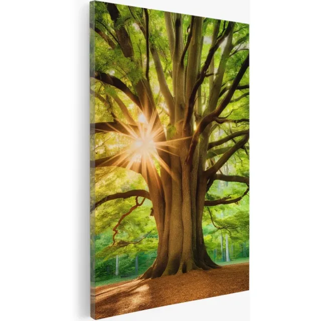 Saammp Canvas Schilderij - Grote Boom met tijdens goldenhour - Natuur - Landschap - 80x120 - Foto op canvas - Wanddecoratie - Muurdecoratie Woonkamer - Slaapkamer decoratie - Canvas Print Multicolor